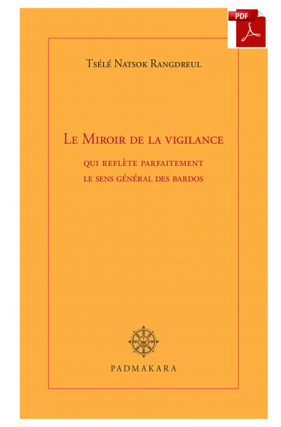Miroir de la vigilance (ebook PDF)