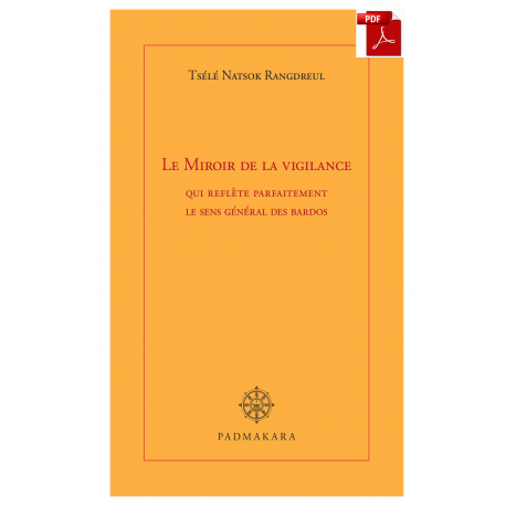 Miroir de la vigilance (ebook PDF)