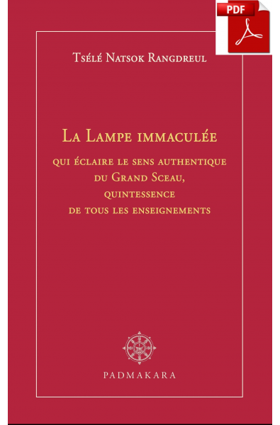 Lampe Immaculée - ebook - pdf