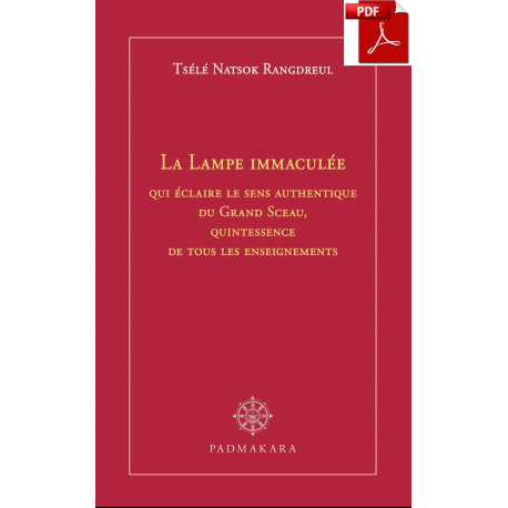 Lampe Immaculée - ebook - pdf