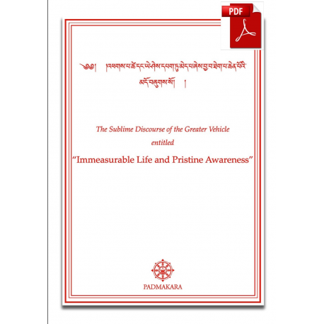 Immeasurable Life and Pristine Awar PDF