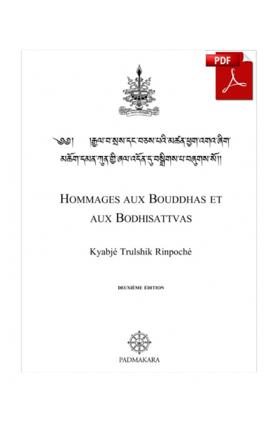 Hommage aux Bouddhas et aux Bodhisattvas pdf