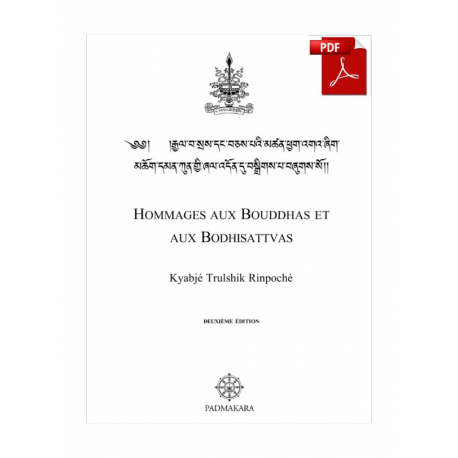 Hommage aux Bouddhas et aux Bodhisattvas pdf