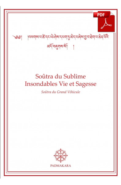 Soûtra du Subllime Insondables Vie PDF