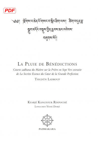 Pluie de Bénédictions (Compilation) pdf