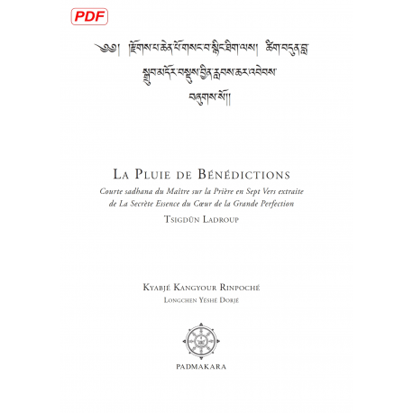 Pluie de Bénédictions (Compilation) pdf