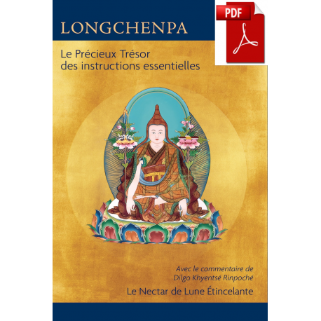 Le Précieux Trésor des instructions essentielles