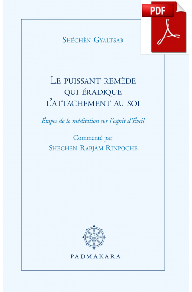 Le Puissant remède qui éradique l'attachement au soi (ebook - pdf)