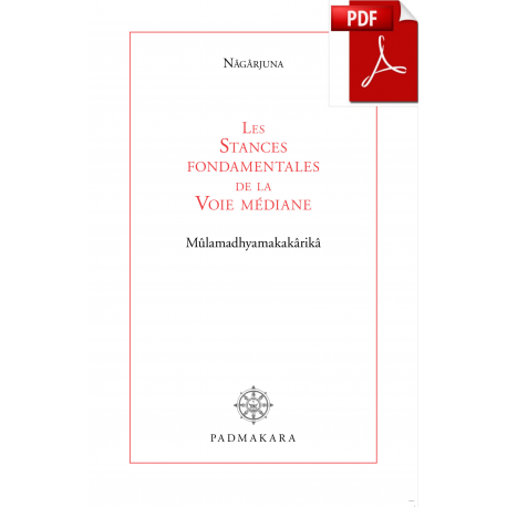 Stances Fondamentales de la Voie médiane (Les)2nd édition - ebook - format pdf