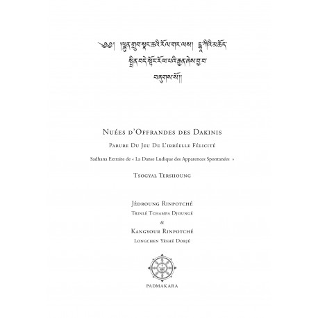 Tsogyal Tershoung — Nuées d’Offrandes des Dakinis - ebook - format pdf