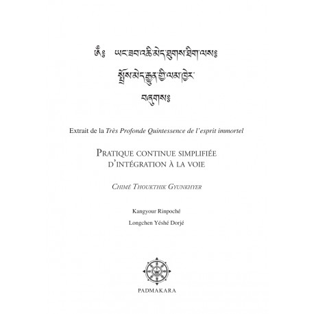 Chime Thukthik Gyunkhyer — Pratique continue simplifiée d’intégration à la voie - ebook - format pdf